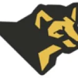 ДФА 14