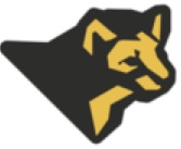 ДФА 14